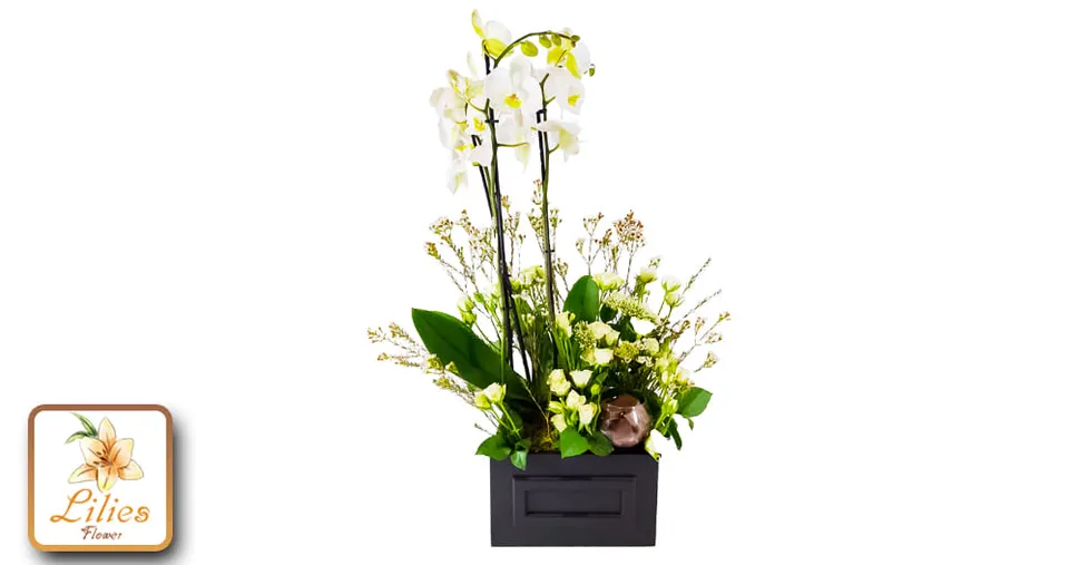 Orchids in Black Vase